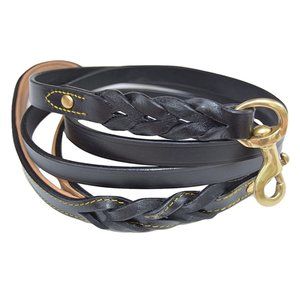 Soft Touch Collars - Leather Braided Dog Leash 4 FT x 1/2 INCH